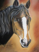 /album/chevaux/photo-312-jpg1/